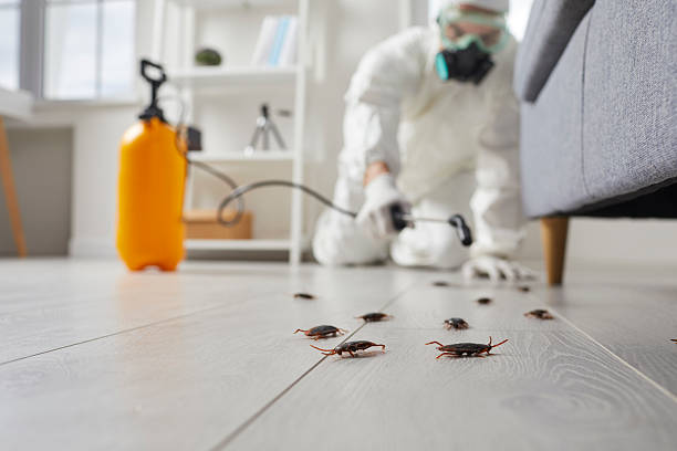 Commercial Kitchen Cockroach Control in West Concord